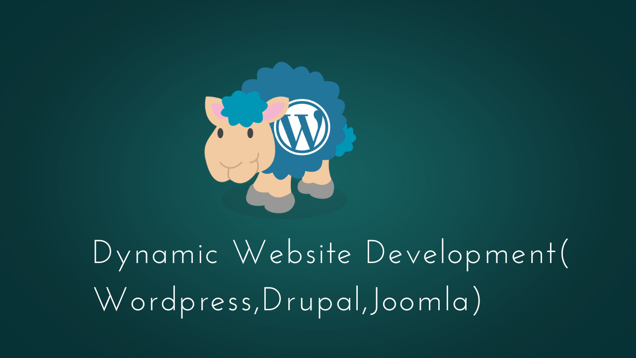 Dynamic Website Development (WordPress, Drupal, and Joomla)